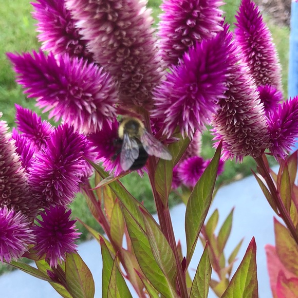 Meet your Posher, Jenn - Picture 1 of 1